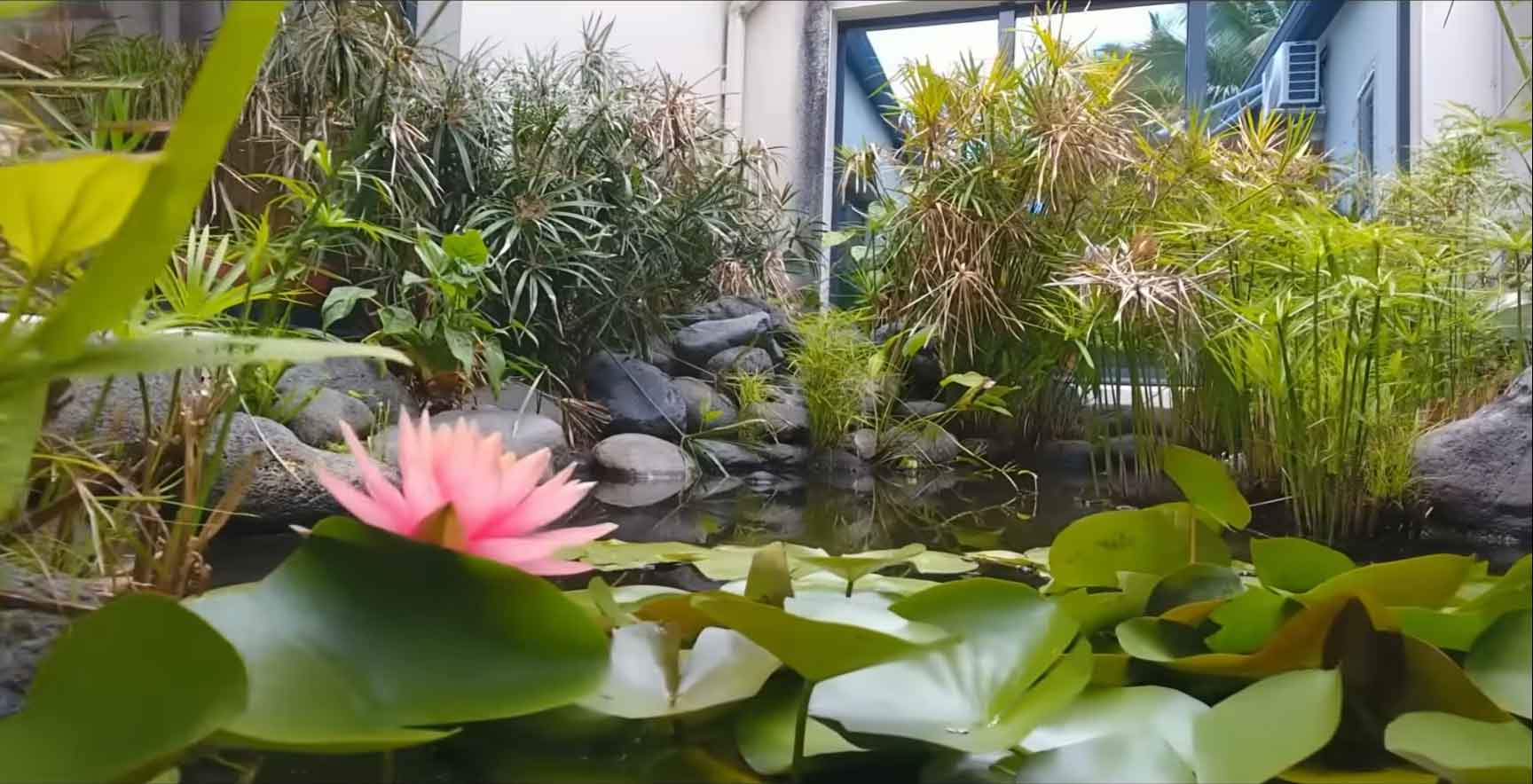 Kreologis — Jardins et nature