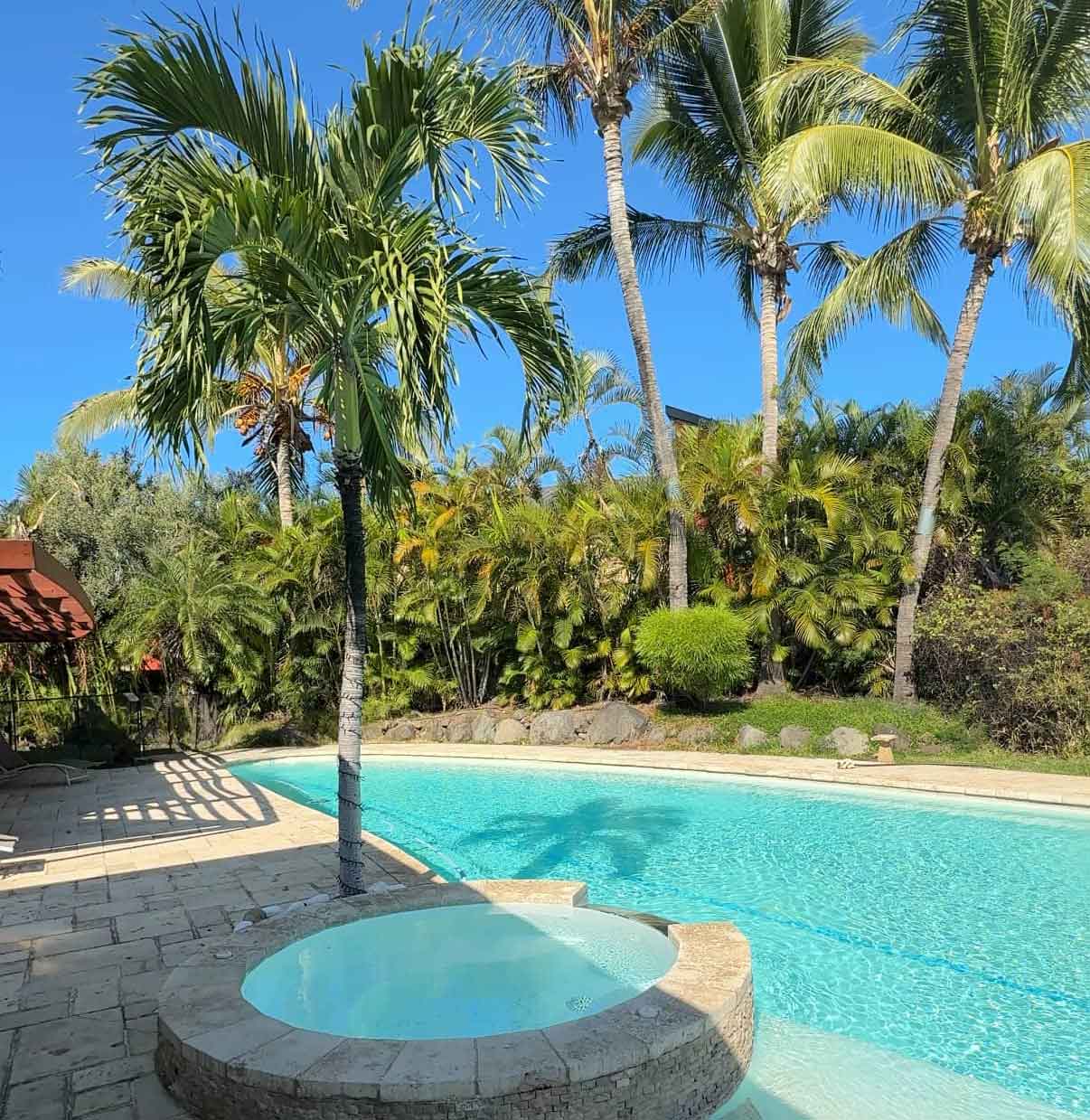 Kreologis — Villa Sud Sauvage — Piscine et jardins tropicaux
